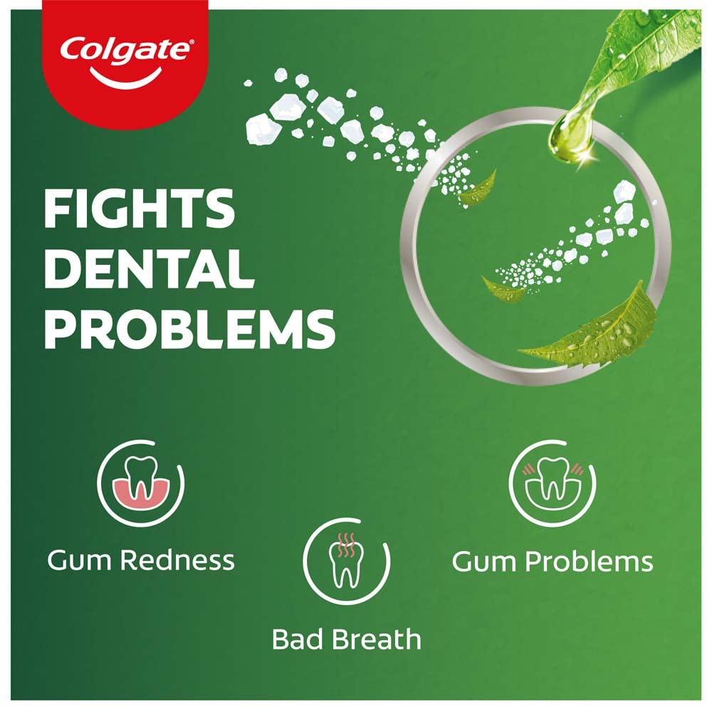 Colgate Active Salt Neem Toothpaste, Germ Fighting Toothpaste For Healthy, Tight Gums, Oral Care 200G Neem 200 g (Pack of 1)
