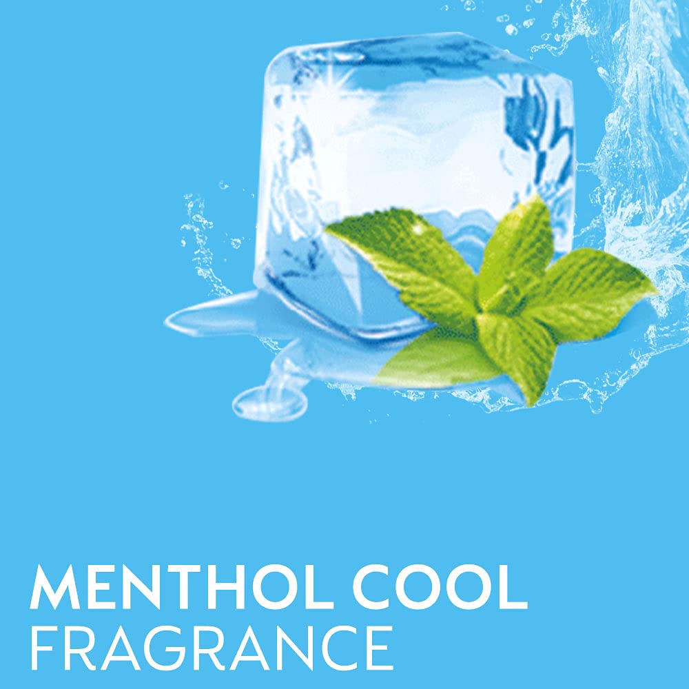 Dettol Liquid Disinfectant for Multi-Purpose Germ Protection, Menthol Cool