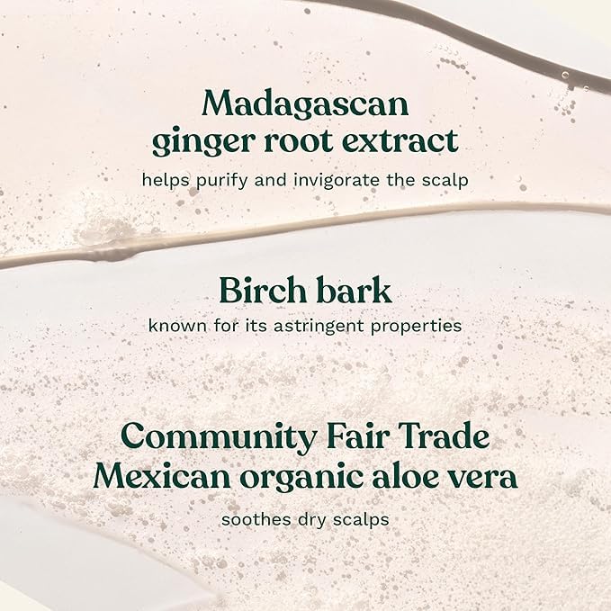 The Body Shop Ginger Scalp Care Shampoo, Dry, Flaky Scalp, With Ginger Root Essential Oil, Scalp Feels Soothed From Dryness, Vegan | 400 mL / 13.5 Oz