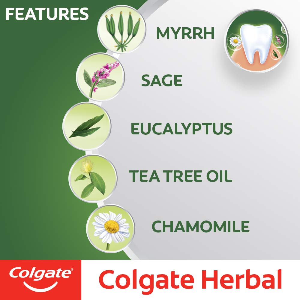 Colgate Herbal Oral Care Toothpaste, Goodness of Natural Ingredients for Healthy Teeth, 200g 200 g (Pack of 1)