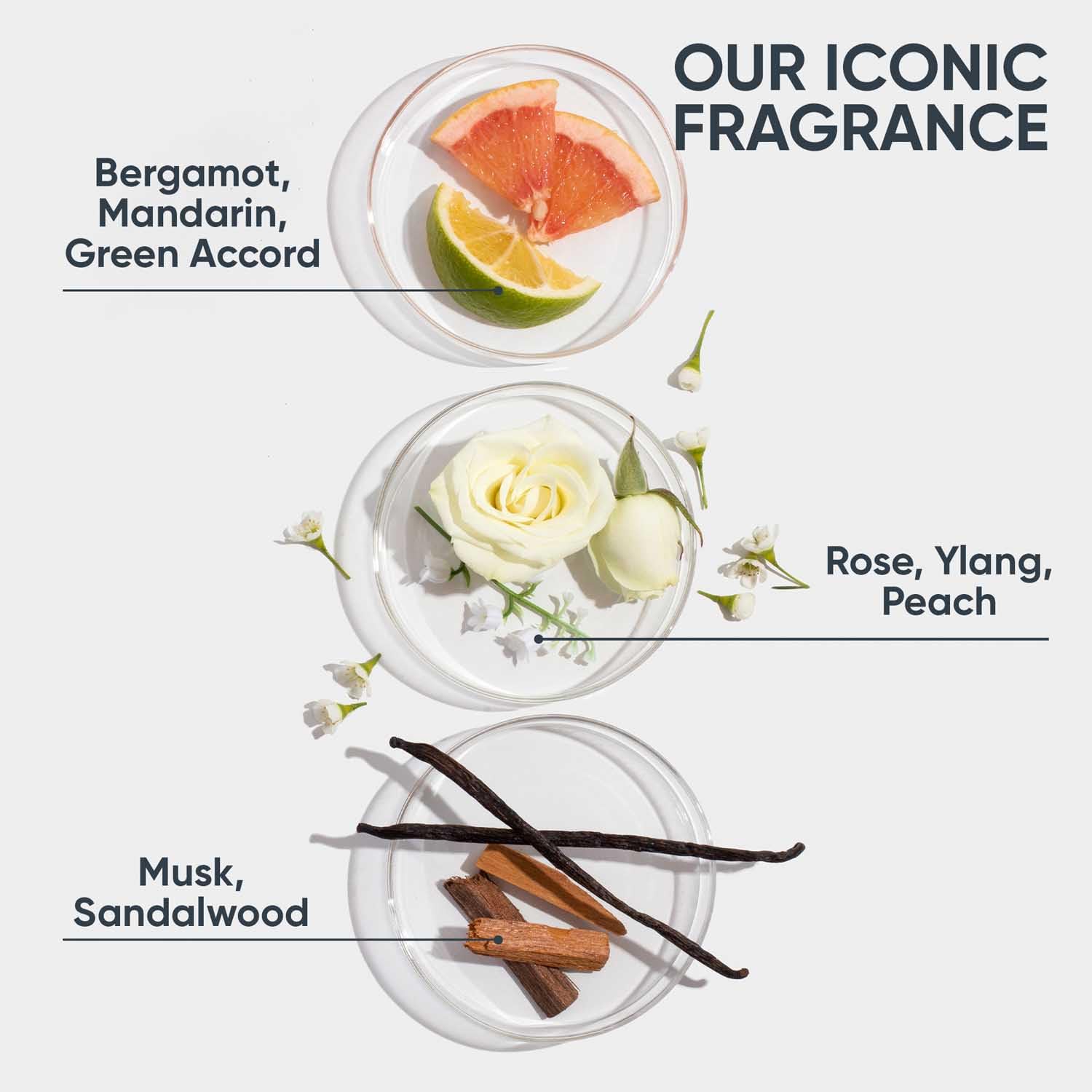 Biolage Hydrasource Shampoo for Dry Hair with Fermented Aloe and Hydroxy Acid for Hydrated and Moisturised Hair for Professional Hair Care Paraben Free Treatment for Women and Men?