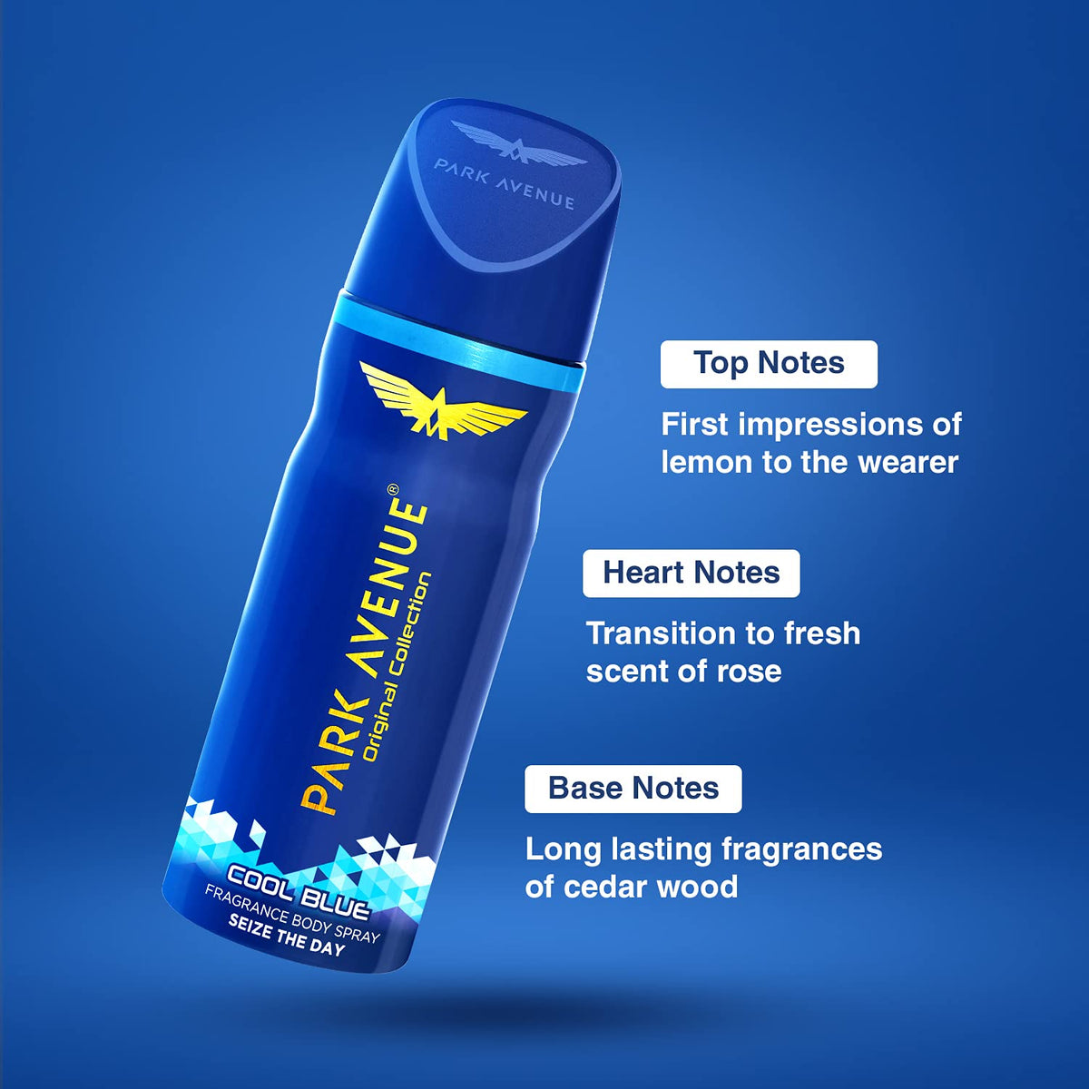 Park Avenue Spray Men's Classic Deo Cool Blue 100Gm*2 (Pack of 2)