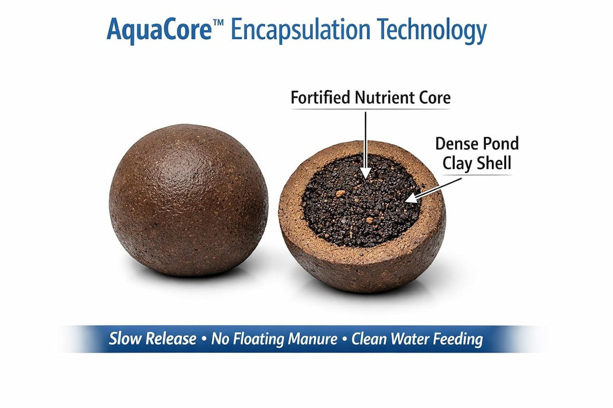 NurseryMan's AquaCore™ Slow Release Nutrition Balls for Lotus & Water Lily | 100% Organic Aquatic Plant Nutrition | For Blooming | Non-Muddy, No Algae Formula |