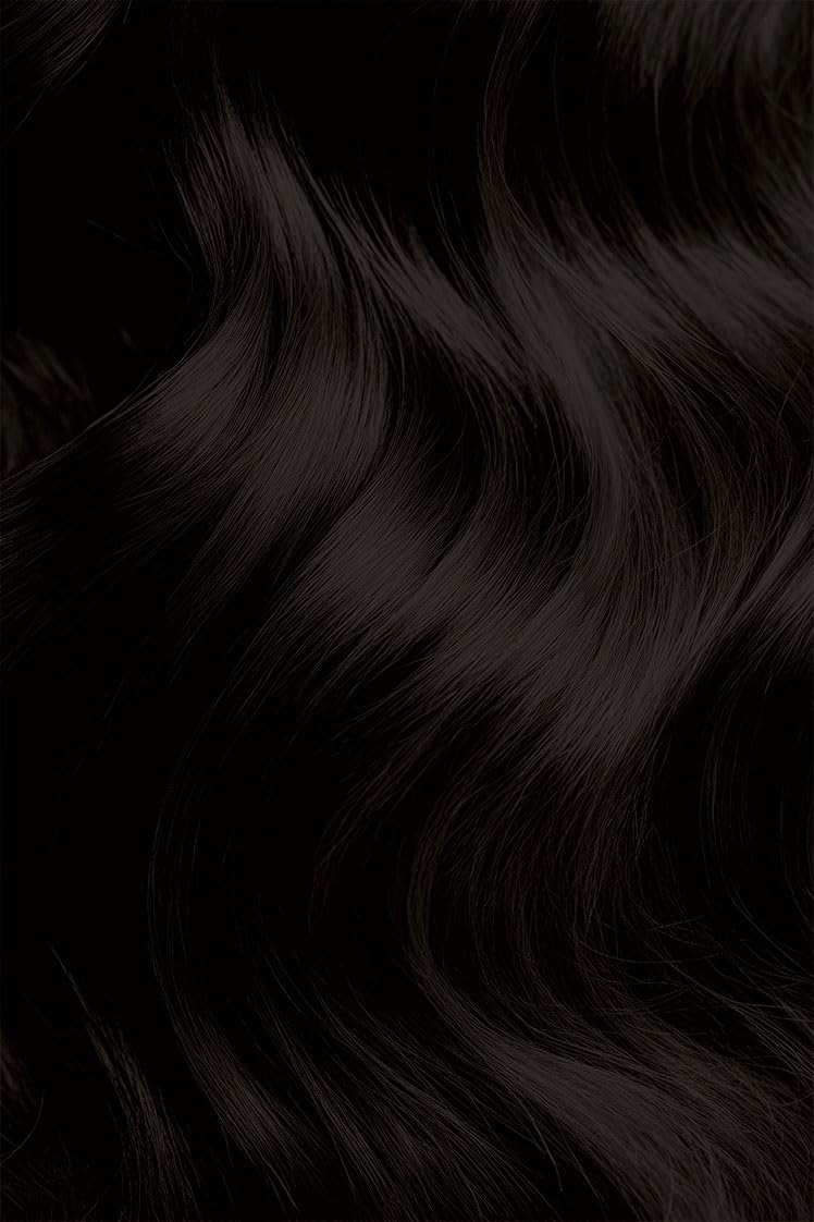 #58 Black Brown Bigen Permanent Powder - 12 Pack