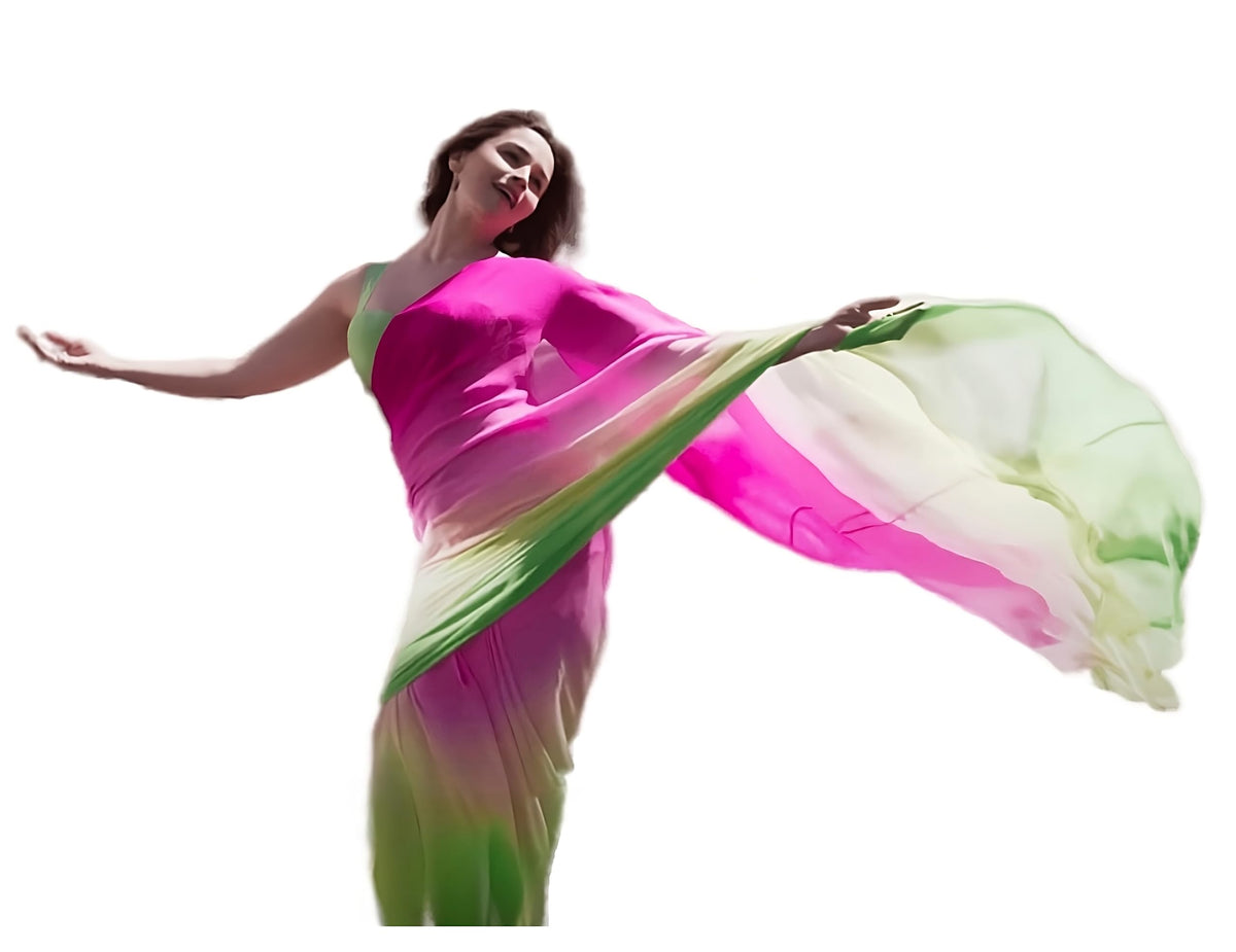 Sidhidata Women's Printed Pure Georgette Saree With Unstitched Blouse Piece (Rocky Aur Rani Ki Prem Kahani Saree) Multicolour