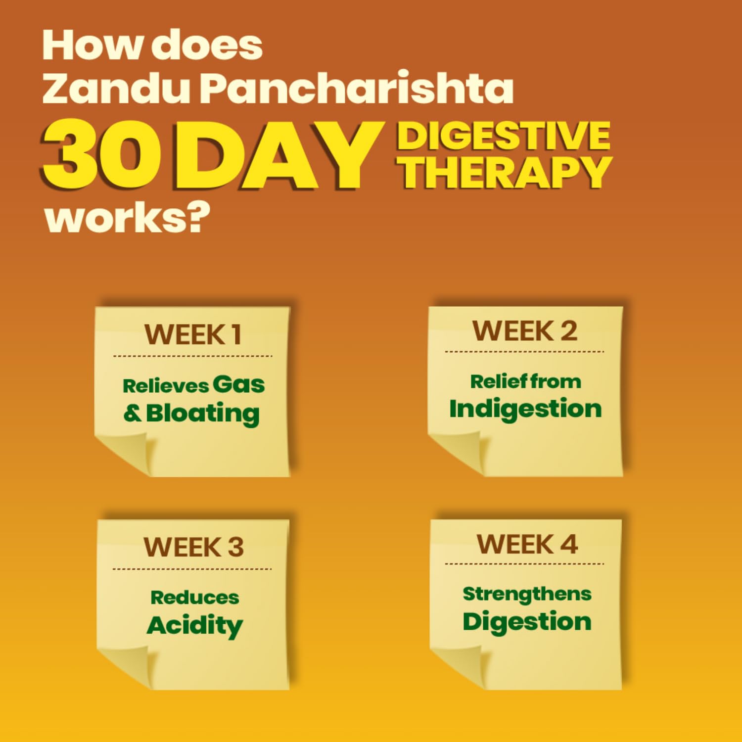 Zandu Pancharishta Ayurvedic Digestive Tonic 650ML