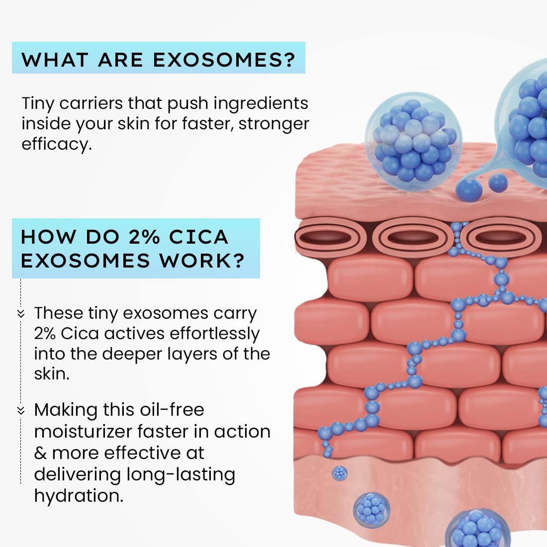 Hyphen 2% Cica Exosomes Oil-Free Moisturizer | 10X Deeper Hydration | Lightweight Water Gel with 5% Niacinamide | Controls Oil, Non-Comedogenic | Acne-Prone, Dr