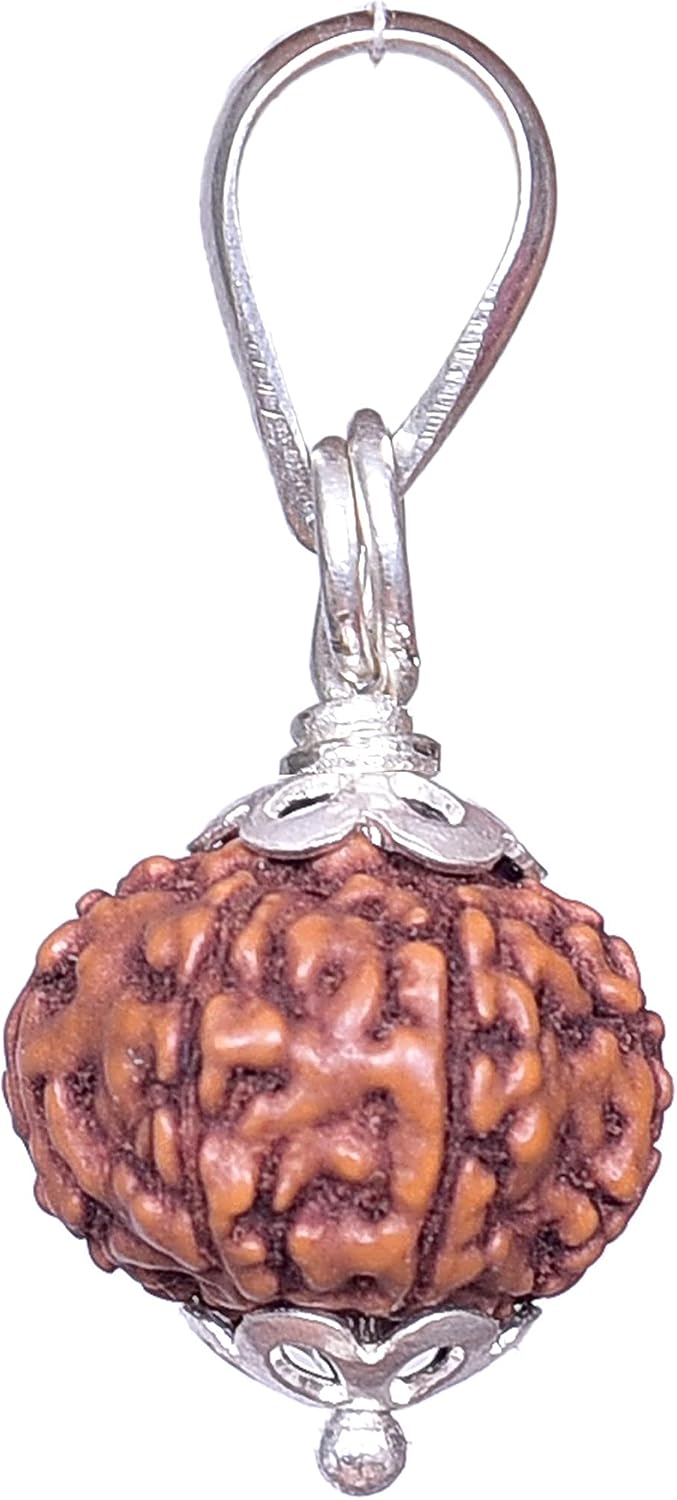 REBUY 8 Mukhi Rudraksha Pendant Indonesian/Java Rudraksha Lab Certified Original Rudraksha Pendant for Men & Women, Origin Indonesian, Color Brown
