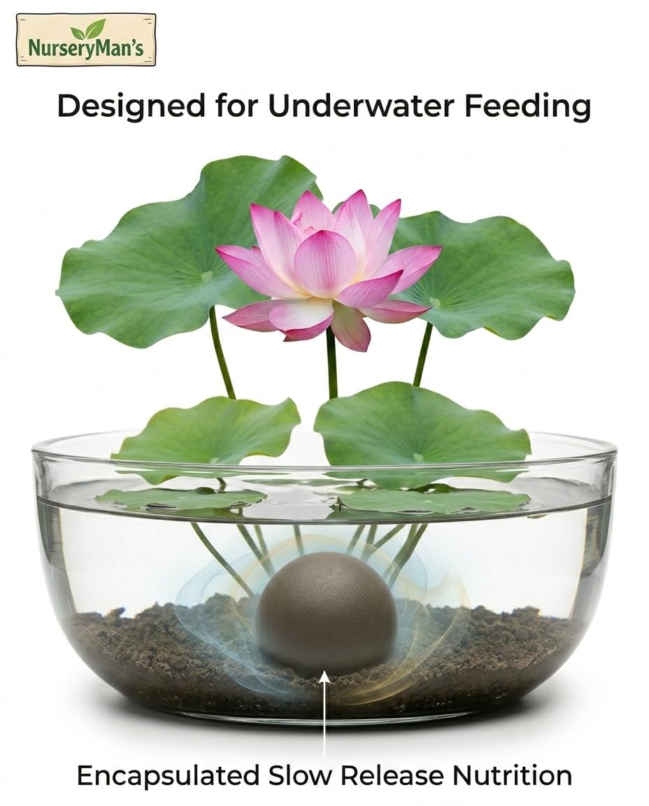 NurseryMan's AquaCore™ Slow Release Nutrition Balls for Lotus & Water Lily | 100% Organic Aquatic Plant Nutrition | Non-Muddy, No Algae Formula | 12 balls