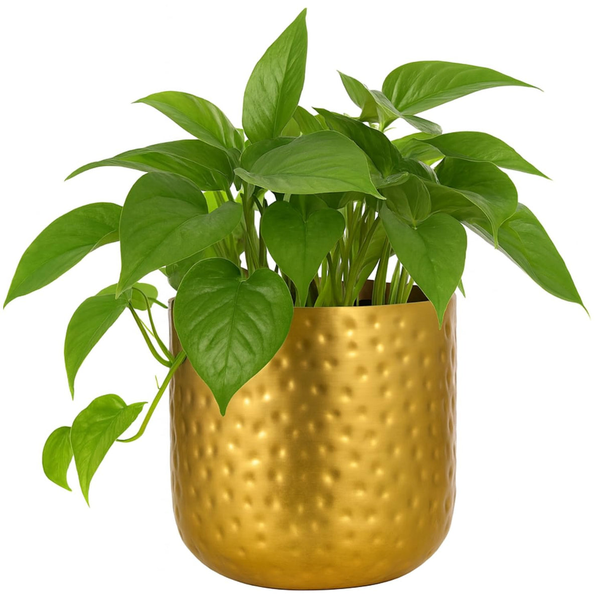 Kalakriti 5 Inch Metal Planters for Home Decor, Hammered Plant Pot Indoor Decorative Planter, Table Top Decor Antique Golden Flower Vase for Home Living Room in