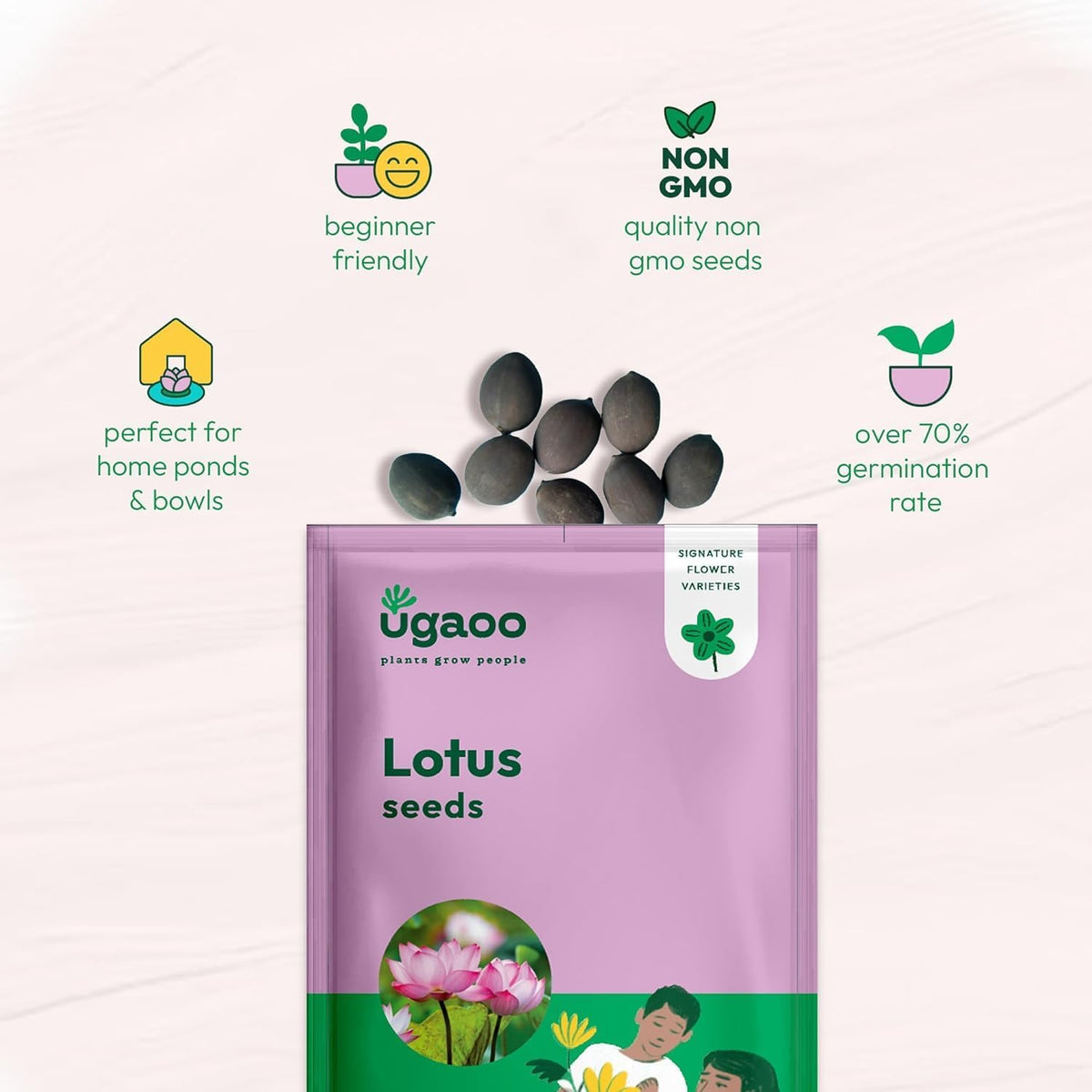 Ugaoo Lotus Seeds for Planting with Sandpaper - Pack of 20 Seeds | High-Germination Lotus Seeds for Planting in Water, Home Garden & Ponds