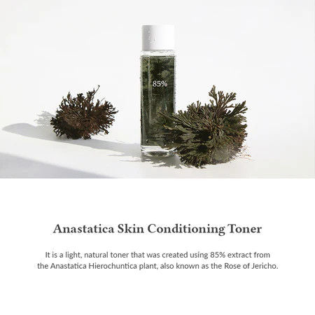 Dr.Althea Resurrection Plant Conditioning Toner: Hydrating & Skin Barrier Repair Toner (250ml)