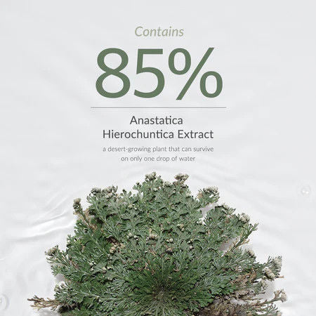 Dr.Althea Resurrection Plant Conditioning Toner: Hydrating & Skin Barrier Repair Toner (250ml)