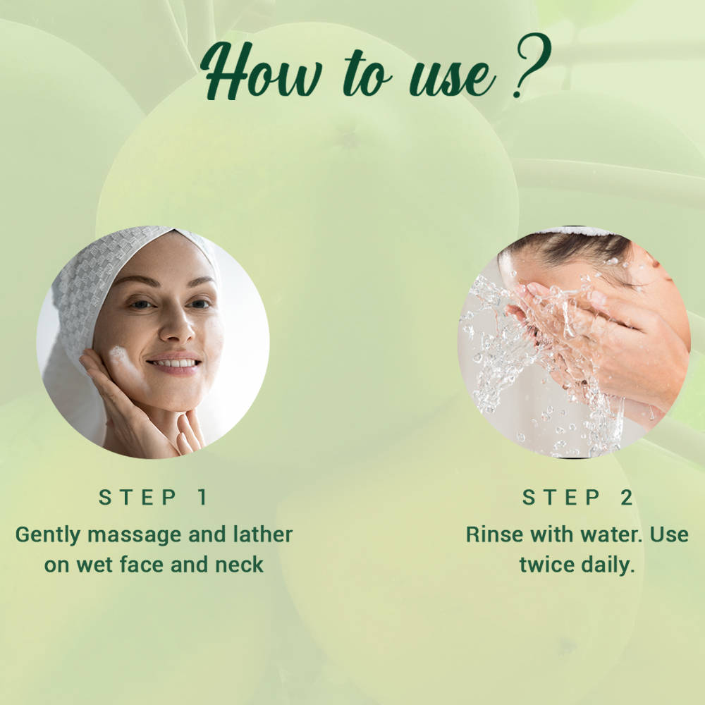 Biotique Bio Papaya Visibly Flawless Skin Face Wash For All Skin Types(pack of 2)