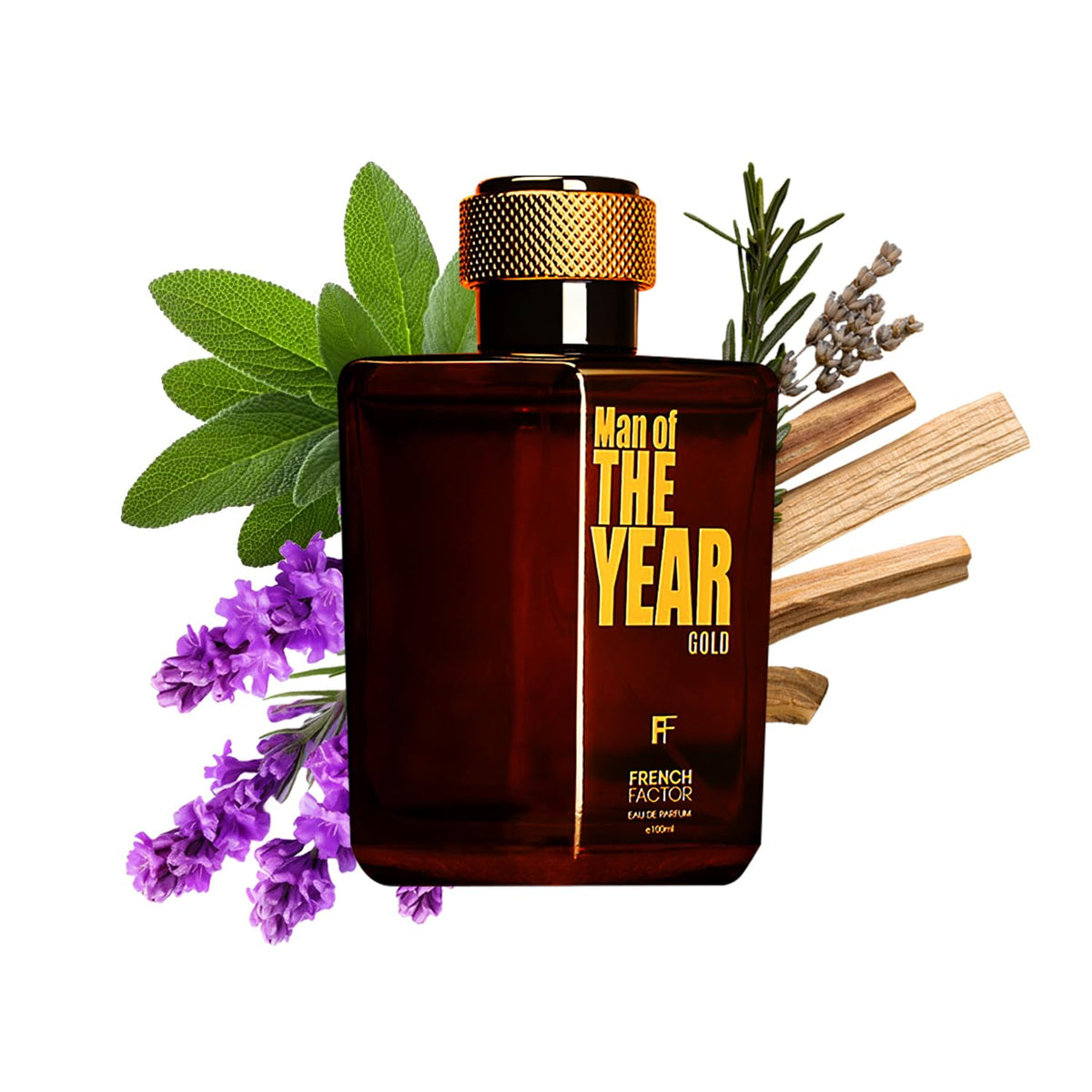 French Factor Man of The Year Gold Perfume For Man Long Lasting Fragrance With Woody Notes Eau De Parfum Gift For Boys (Pack of 1, 100ml)