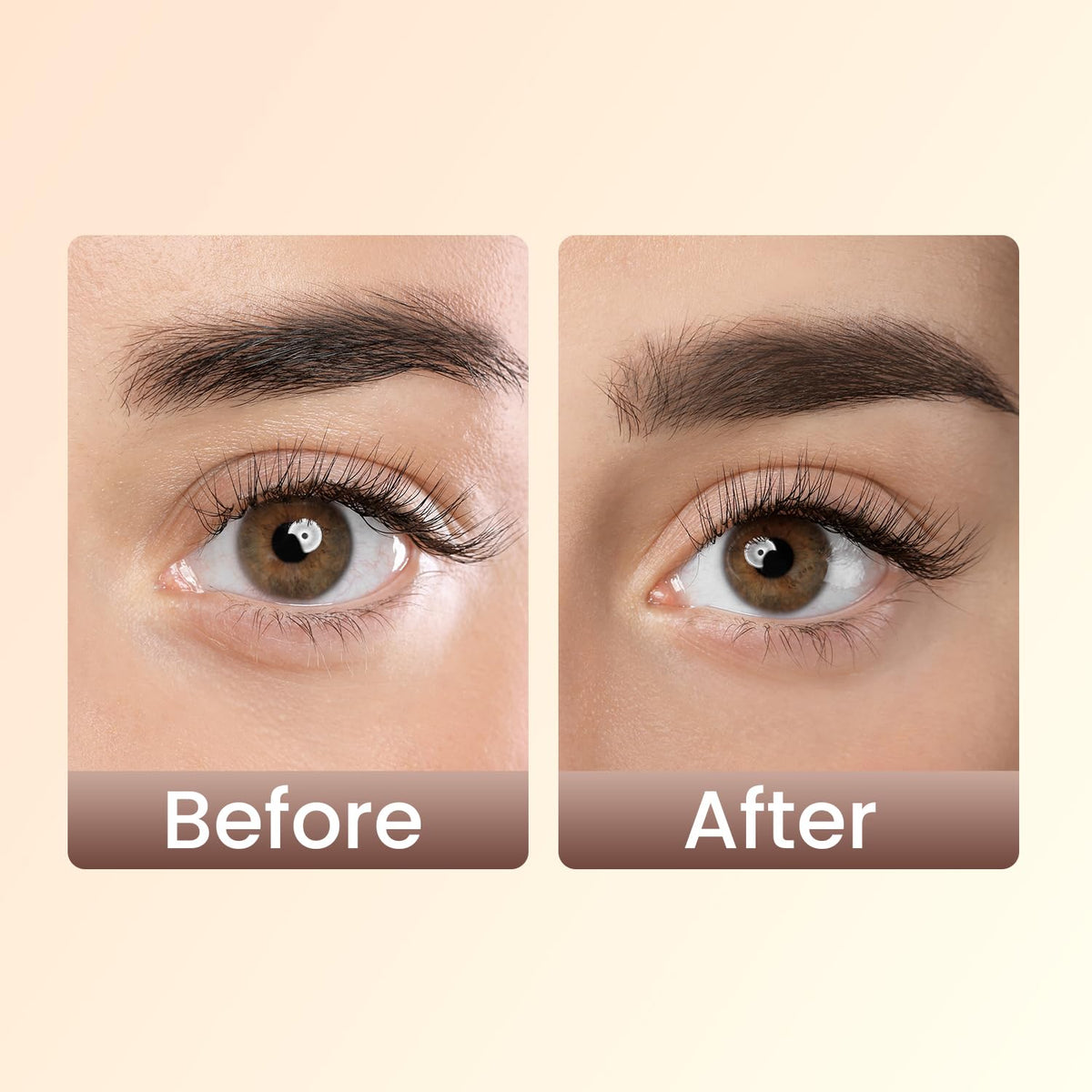 Swiss Beauty Eyebrow Definer Pencil (Coco Brown) Coco Brown 1.5 g (Pack of 1)