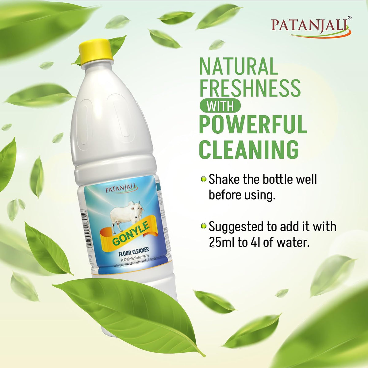 Patanjali Gonyle Floor Cleaner 1L 1 l (Pack of 1)