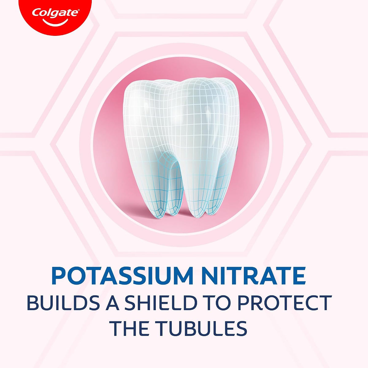 Colgate Sensitive Everyday Protection Toothpaste, Combo Pack Of 160g (80g X 2), Specifically Developed For Sensitive Teeth & Healthy Gums, Colgate Toothpaste Fo