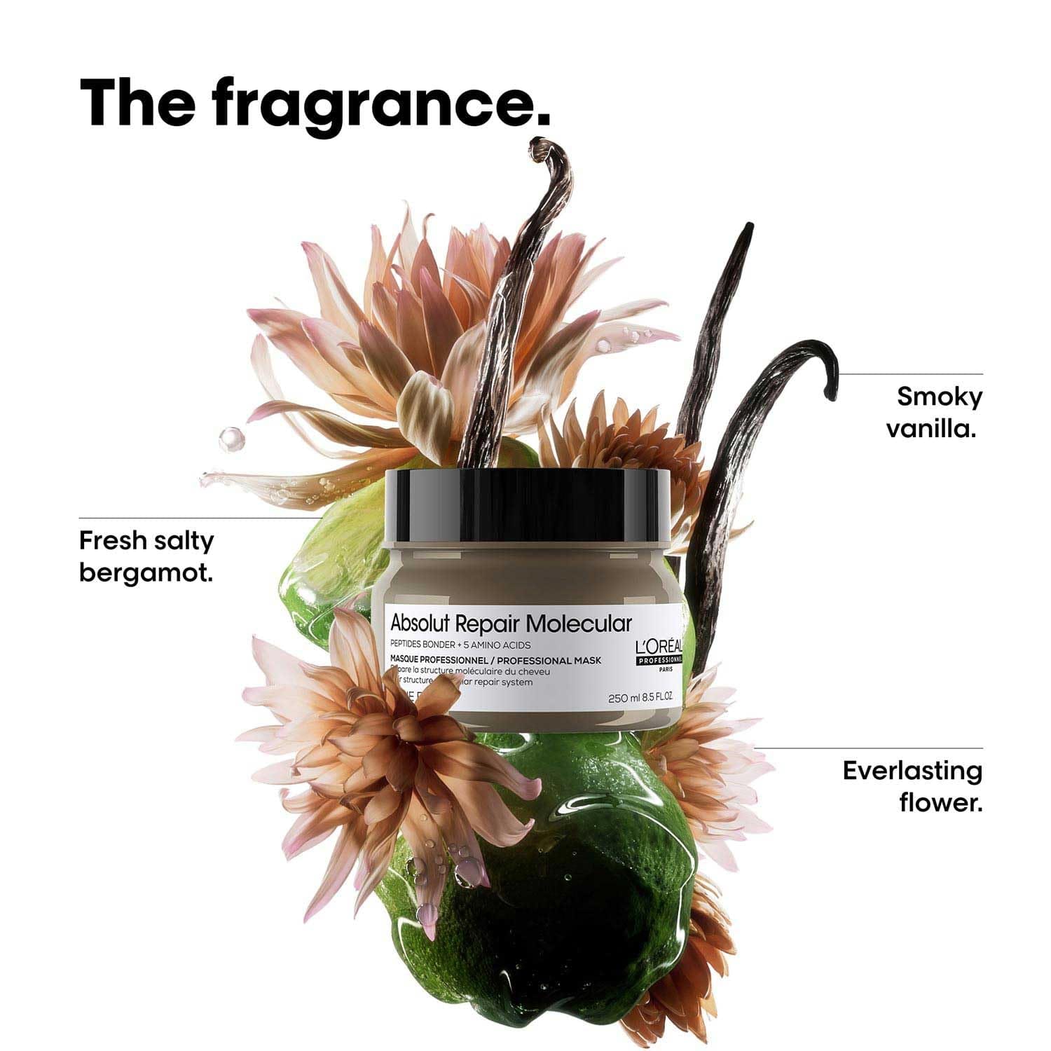 Loreal Professionnel - Absolut Repair Molecular Cream Mask (250ML)