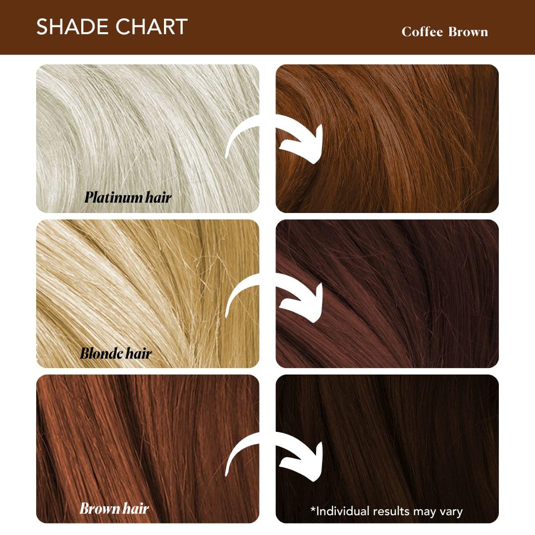 Paradyes Semi-Permanent Coffee Brown Hair Colour | Conditioner-Based DIY Colour | For Colour Refresh | Best on Pre-Lightened Hair | 120g