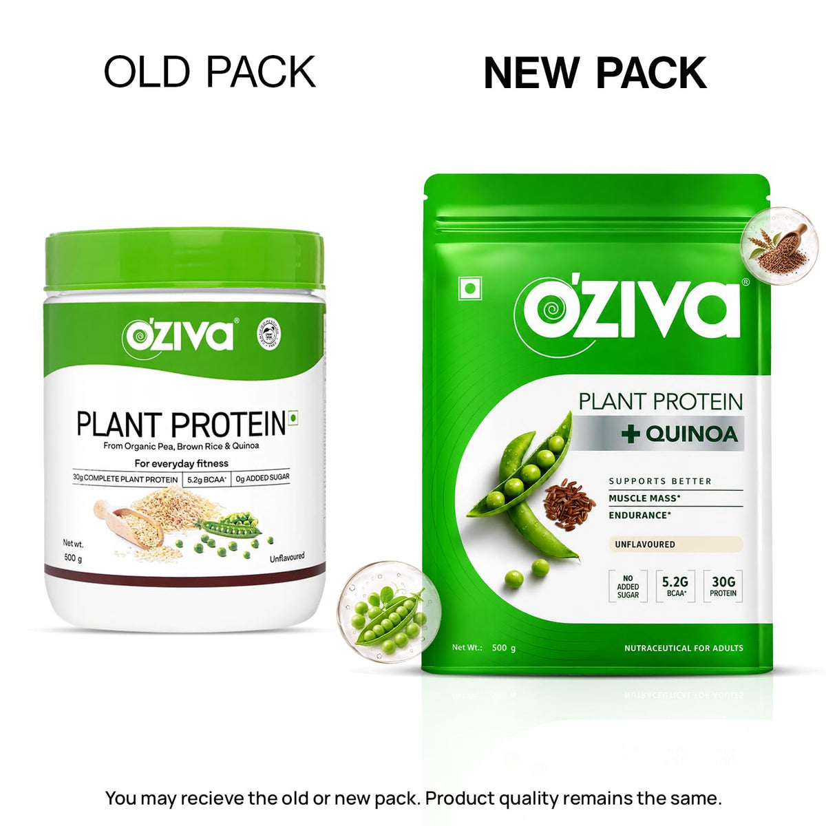 OZiva Plant Protein Powder, Pea Isolate, Vegan, Unflavoured, 500g Unflavoured 500 g (Pack of 1, without Shaker)