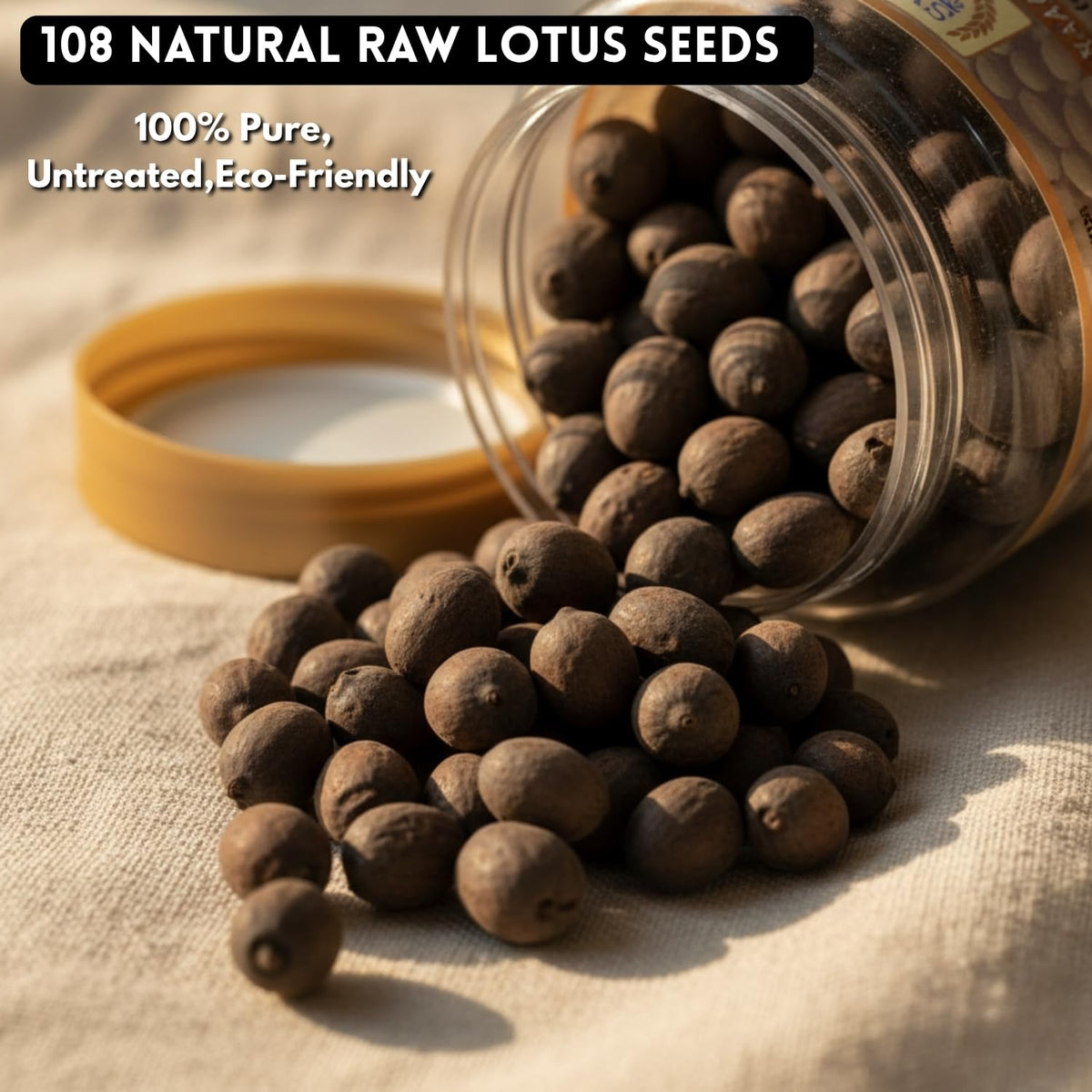 SVV Organics 24 Kamal Gatta Seeds – 108pcs Lotus Seeds for Spiritual Rituals, Pooja Thali, Meditation, Religious Ceremonies, Feng Shui, Abundance, Prosperity, H
