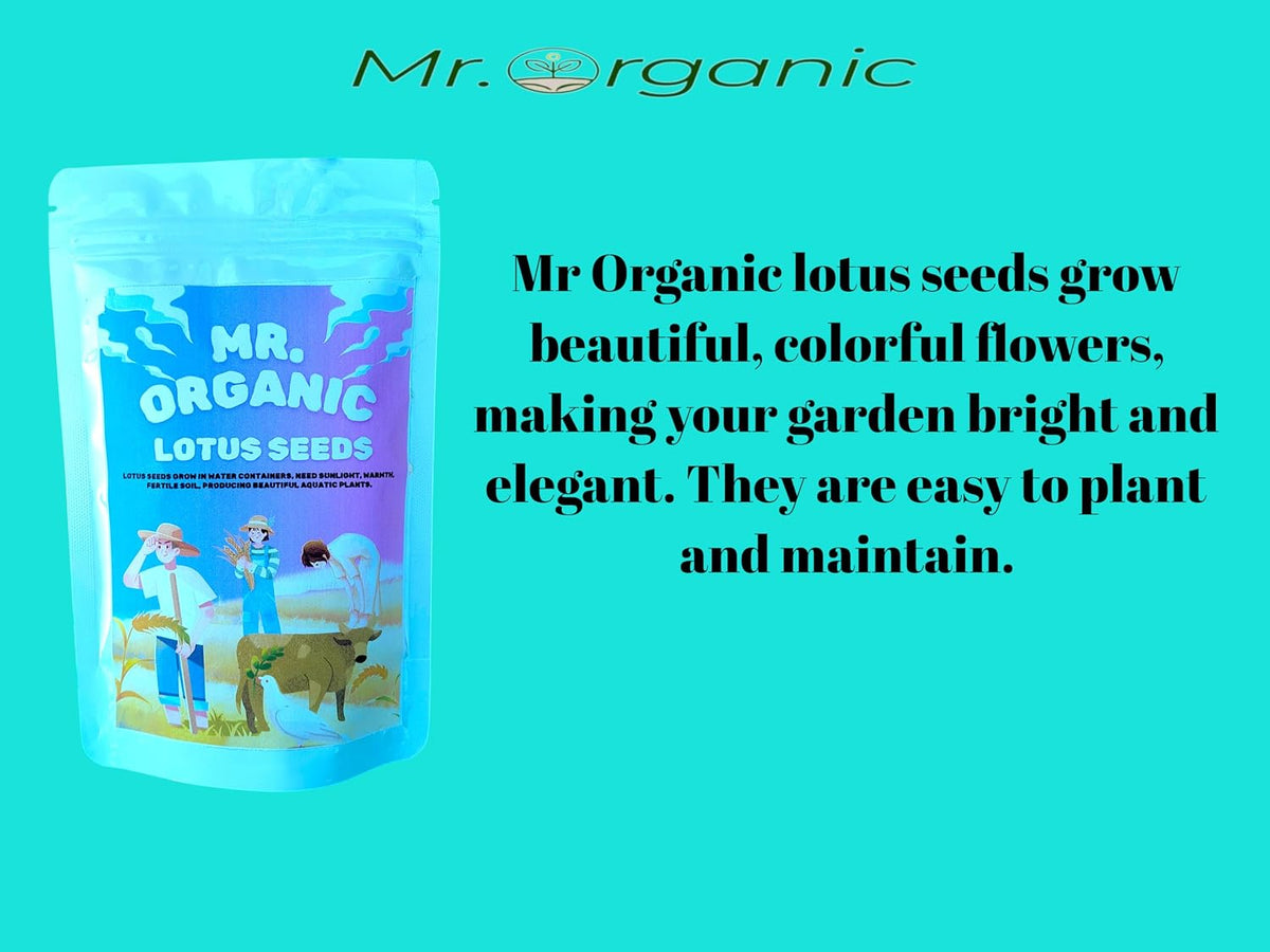 Mr.Organic Flower Seeds Combo Of Lotus, Cosmos, Zinnia Lilliput And Zinnia Double Seeds for Home Gardening |Flower Seeds for Home Gardening | High Germination R
