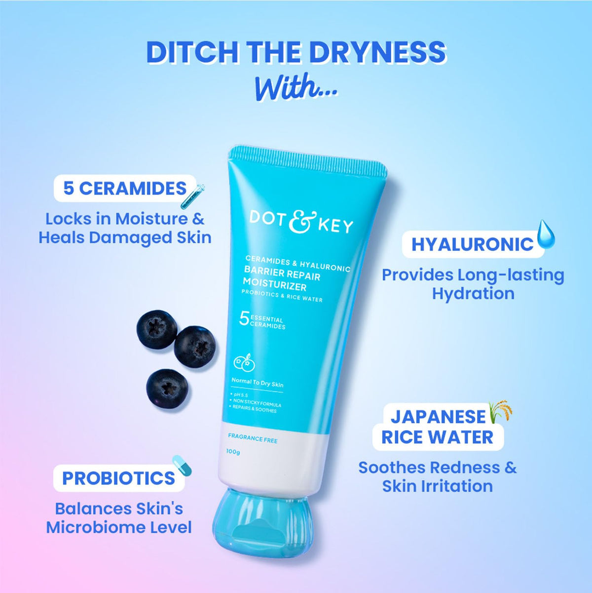 Dot & Key Skincare Ceramides & Hyaluronic Barrier Repair Moisturizer 100gm |Dot & Key Blueberry Hydrate Barrier Repair Sunscreen SPF 50+ PA++++ 50g