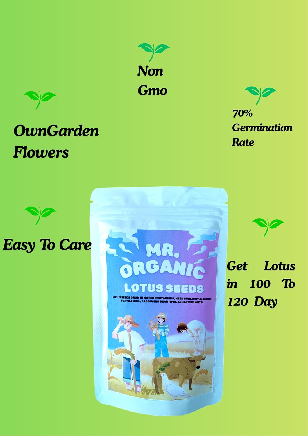 Mr.Organic Lotus Flower Seeds White,Red,Pink (45 To 50 Seeds) 50 Gram | Lotus Seeds for Planting in Home Garden & Ponds | Hybrid Japanese Lotus Flower Seeds | H