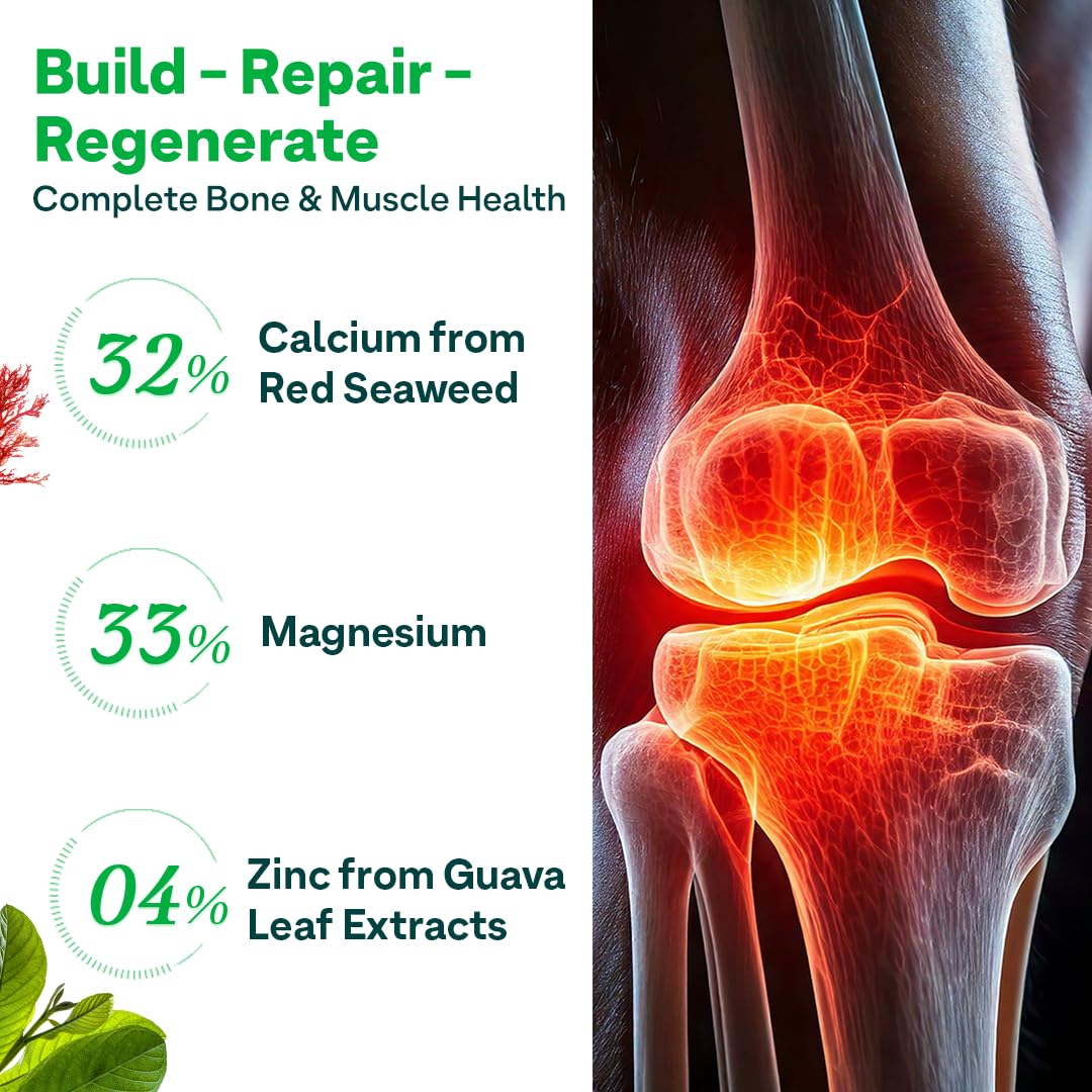 OZiva Calcium Magnesium Zinc with Vitamin D3, Bone Health, 60 Caps Starter Pack - Pack 1