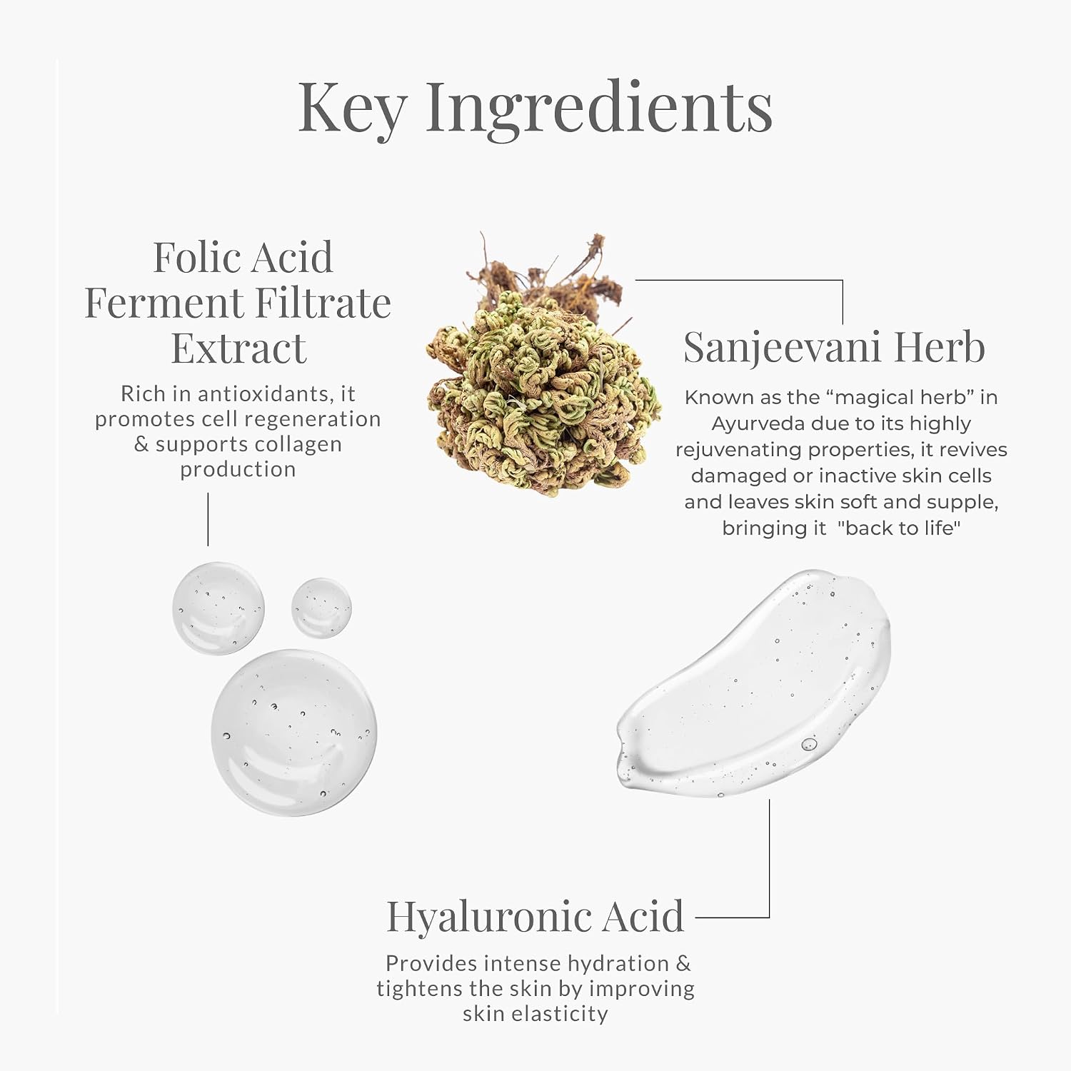 Forest Essentials Sanjeevani Beauty Elixir | Ayurvedic Rejuvenating Day Cream with Sanjeevani Influsion & Hyaluronic Acid | Lightweight Pre-Moisturiser for Radiant, Hydrated Skin
