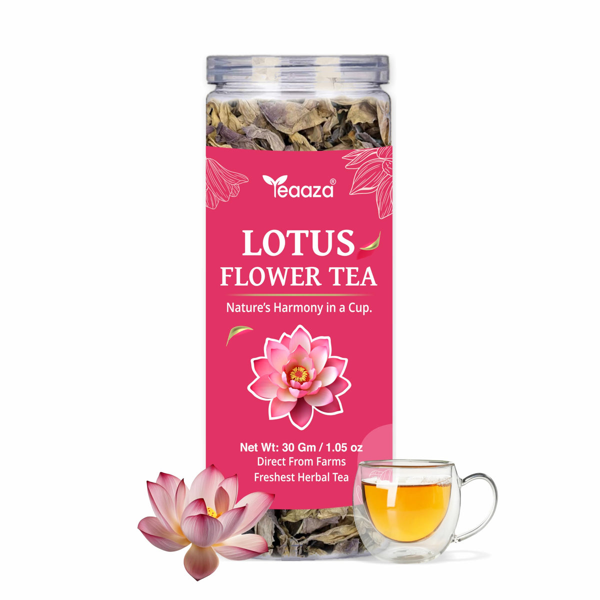 Teaaza Lotus Flower Tea – 30g (60 Cups) | Herbal Caffeine-Free Detox Tea for Sleep & Relaxation | Reusable Pet Jar | Twice Steepable Lotus Flower 30 Gram