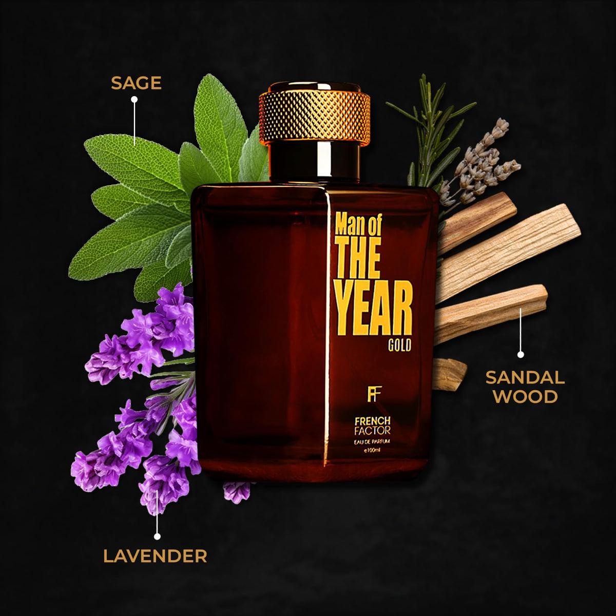 French Factor Man of The Year Gold Perfume For Man Long Lasting Fragrance With Woody Notes Eau De Parfum Gift For Boys (Pack of 1, 100ml)