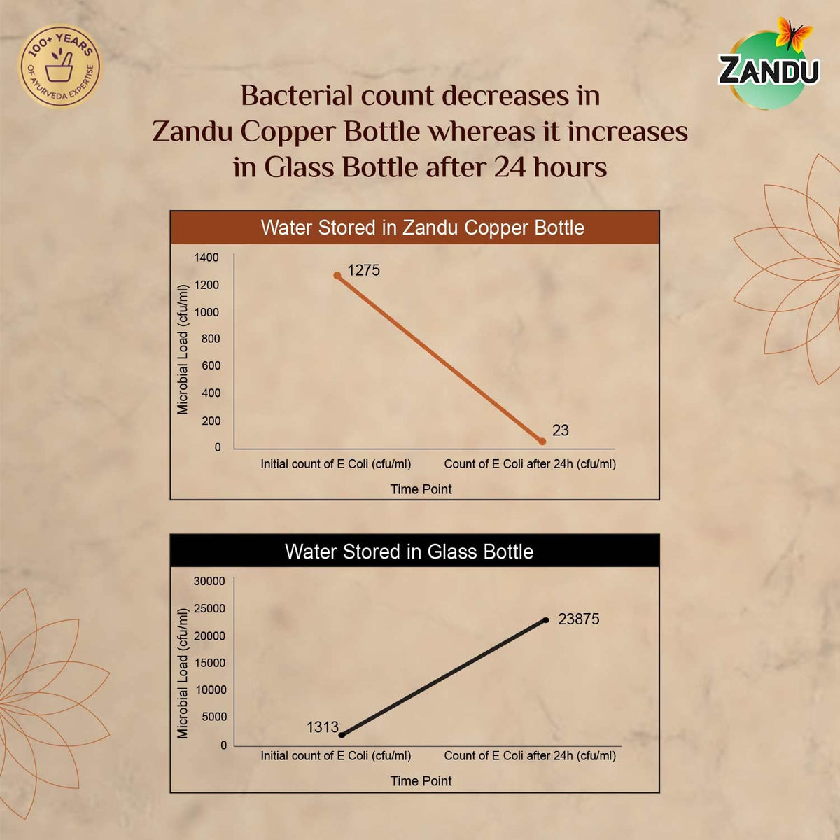 Zandu Copper Bottle (950ml): 100% Pure BPA-Free Water Bottle | Copper-Infused Water | Leak Proof | Office Use | Boosts Immunity | Supports Digestive & Liver Hea