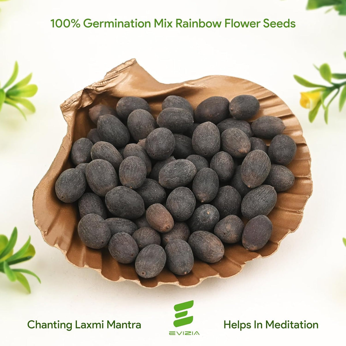 100% Japanese Mix Flower Seeds| All Mix Color Growing Lotus Kamal Gatta Seed, Home Gardening| Live Water plant for Pond| Water Lily, Rainbow Lotus Flower Seeds