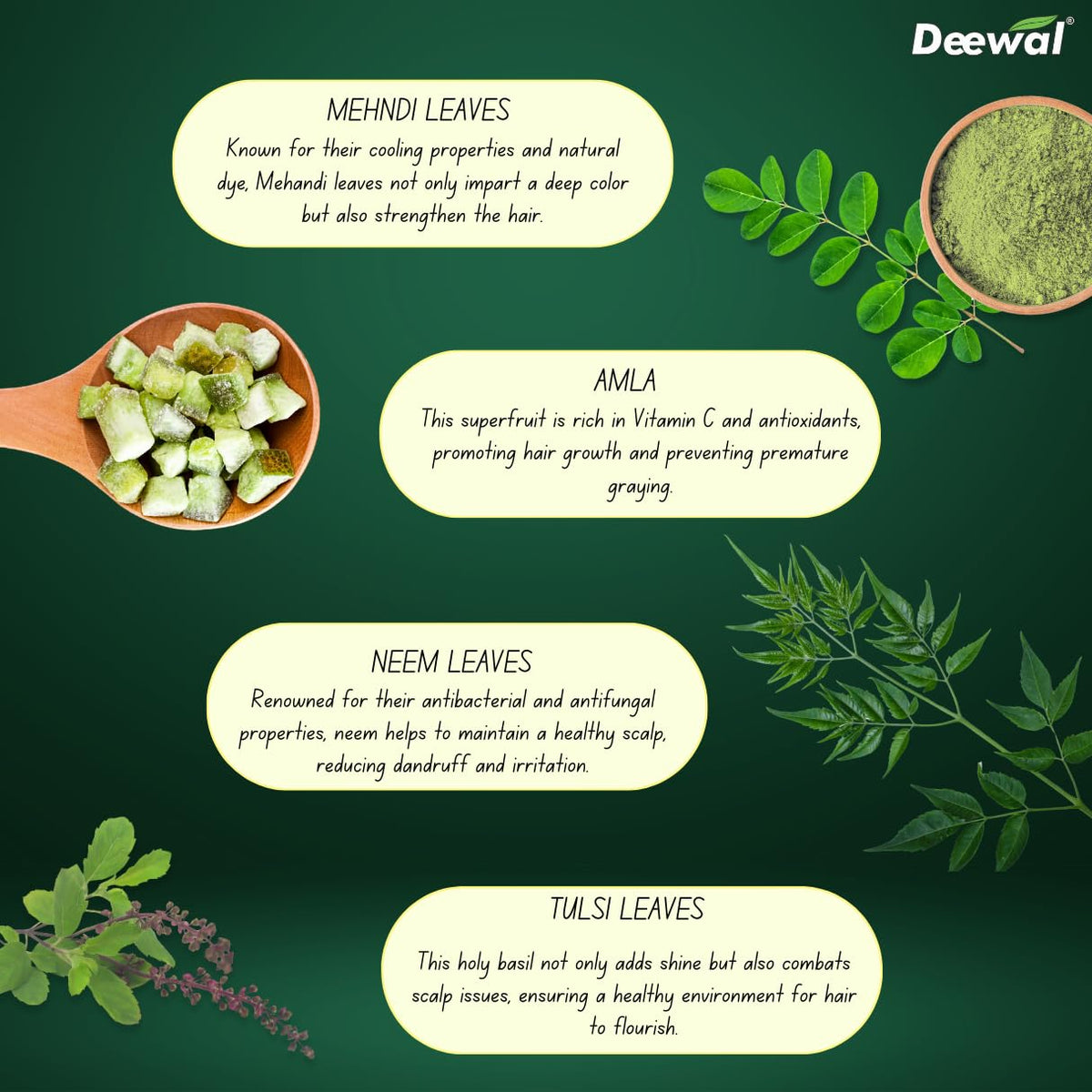 Deewal Herbal Khadi Mehndi Powder – Hair Color & Conditioning, 240g (Pack of 3) | With Amla, Bhringraj, Neem & Shikakai | For Men & Women Black Pack of 3