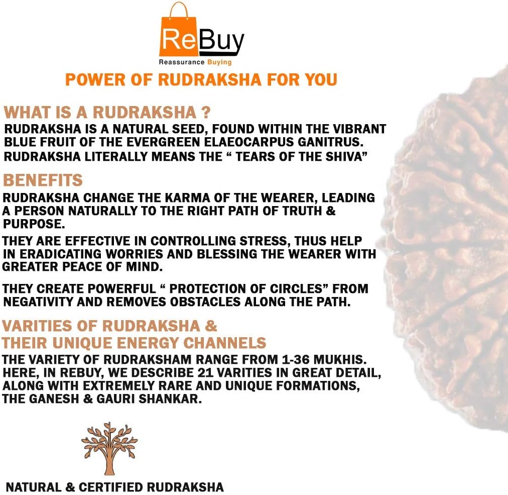 REBUY 8 Mukhi Rudraksha Pendant Indonesian/Java Rudraksha Lab Certified Original Rudraksha Pendant for Men & Women, Origin Indonesian, Color Brown
