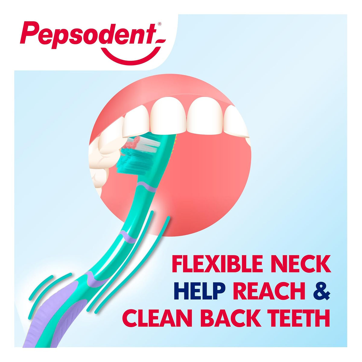 Pepsodent Gum Expert Toothbrush (Buy 2 Get 1 Free) 3 pcs White 1 count (Pack of 1)