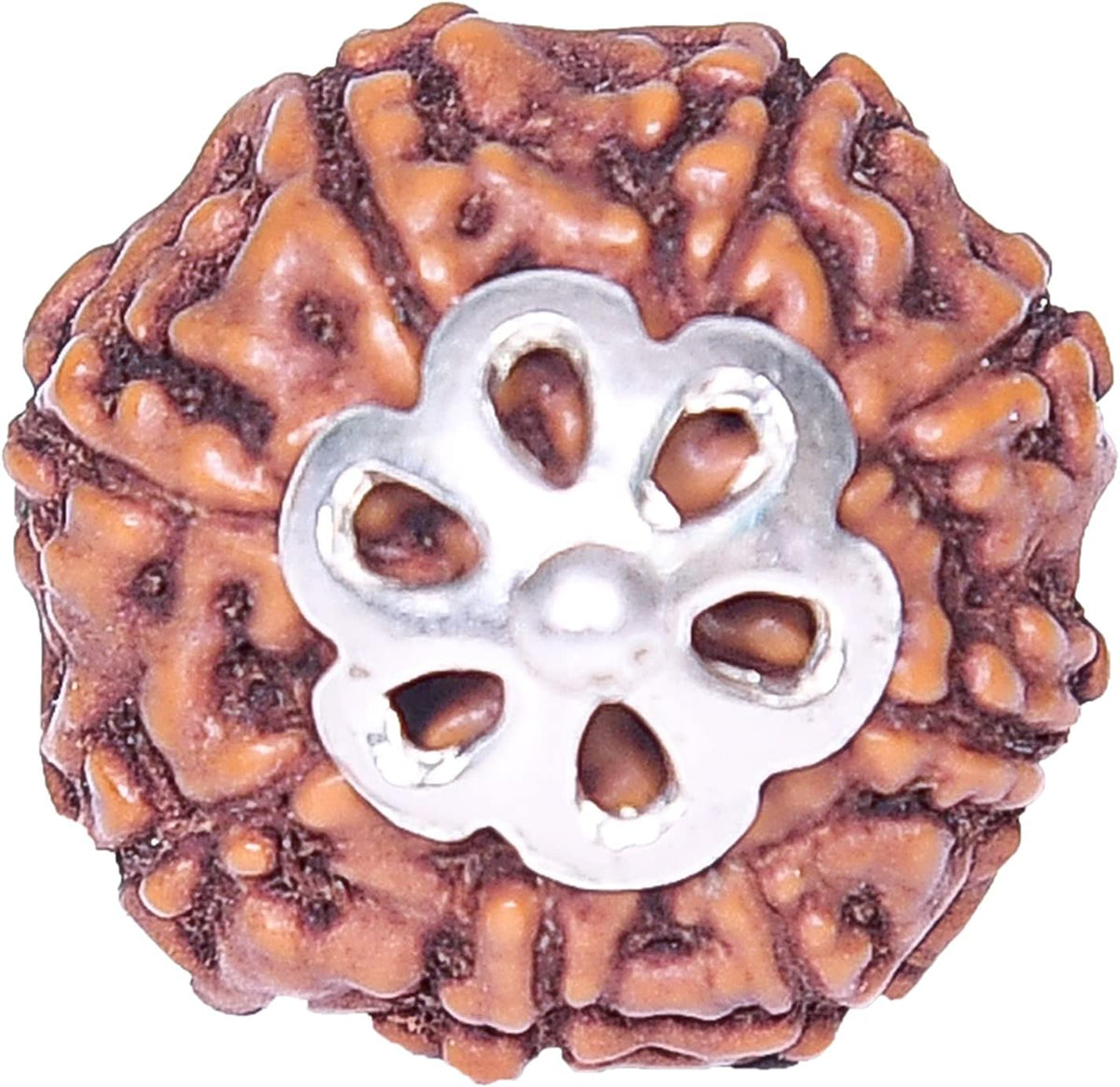 REBUY 8 Mukhi Rudraksha Pendant Indonesian/Java Rudraksha Lab Certified Original Rudraksha Pendant for Men & Women, Origin Indonesian, Color Brown