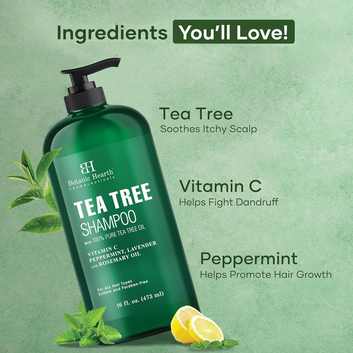 Botanic Hearth Tea Tree Shampoo, Vitamin C, Peppermint, Lavender and Rosemary Oil, Fights Dandruff and Dry Scalp, 16 fl oz…