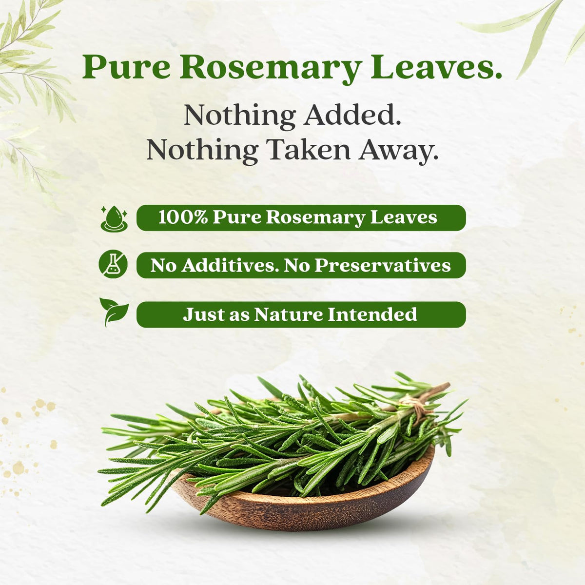 Bixa Botanical Rosemary Leaves 120g | Hair Growth Support & Reduce Dandruff Rosemary 120 g (Pack of 1)
