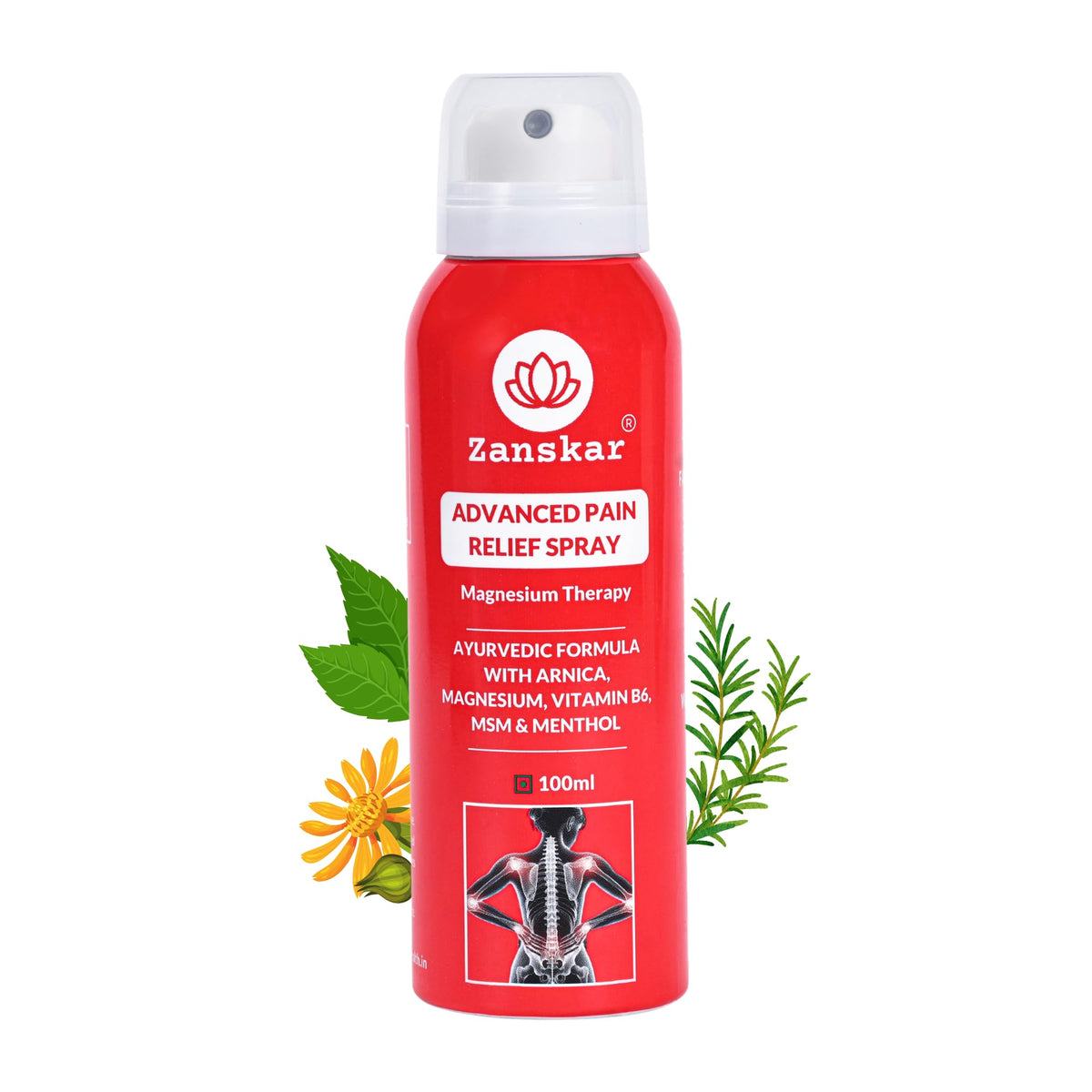 Zanskar Advanced Pain Relief Spray | Fast Action for Sore Muscles, Sports Injuries, Knee Pain, Sprains, Swelling | Cryotherapy Formula - Magnesium, Menthol, Vit