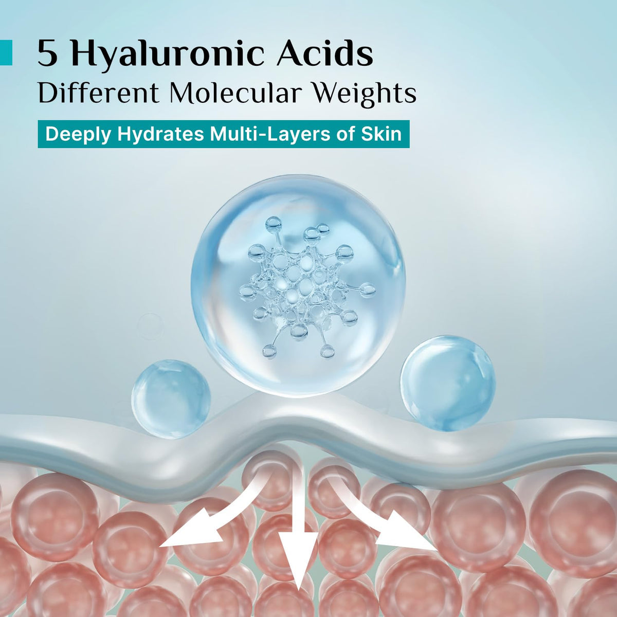 Pilgrim Korean Rice Water Hydra Glow Moisturizer for Glass Skin Glow - 50g 50 g (Pack of 1)