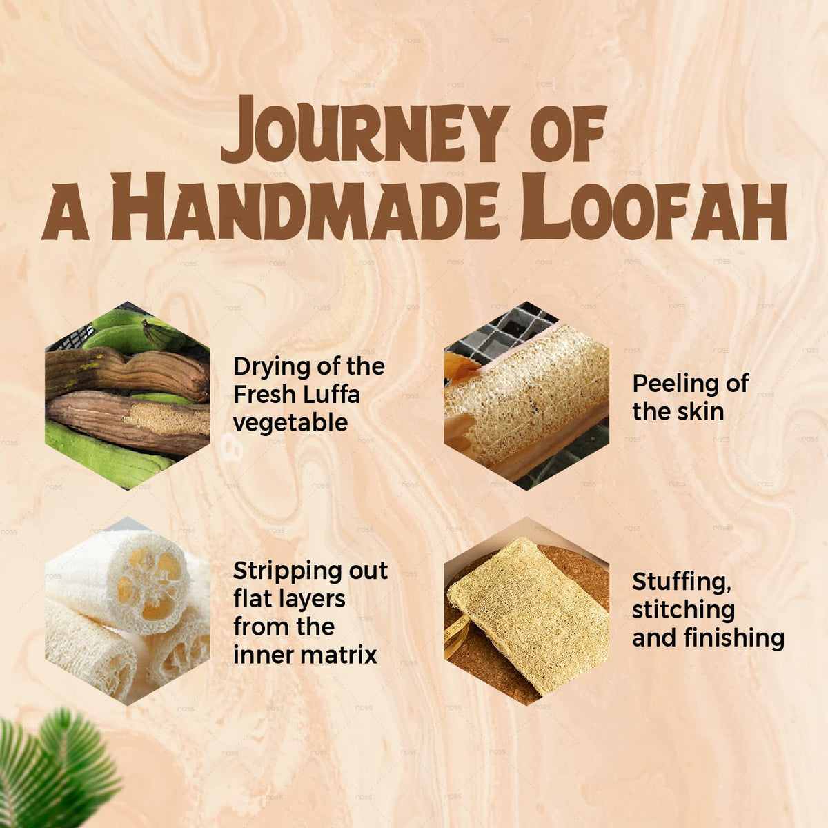 Ross Natural Sun-Dried Loofah | Organic Exfoliating Bath Sponge & Scrubber for Men & Women | Deep Cleansing Luffa for Shower, Skincare & Body Care | Eco-Friendl