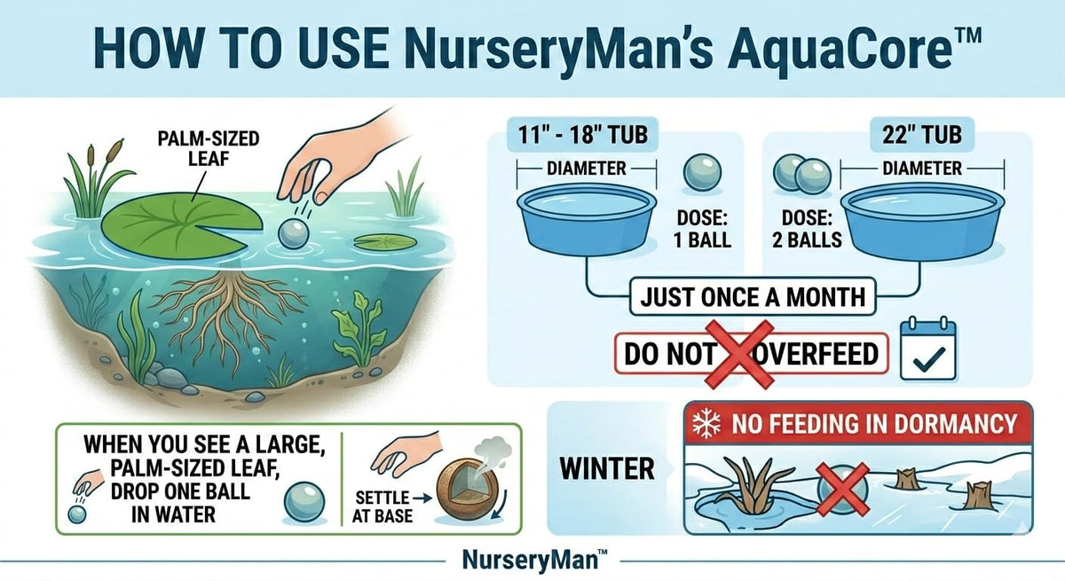 NurseryMan's AquaCore™ Slow Release Nutrition Balls for Lotus & Water Lily | 100% Organic Aquatic Plant Nutrition | Non-Muddy, No Algae Formula | 12 balls