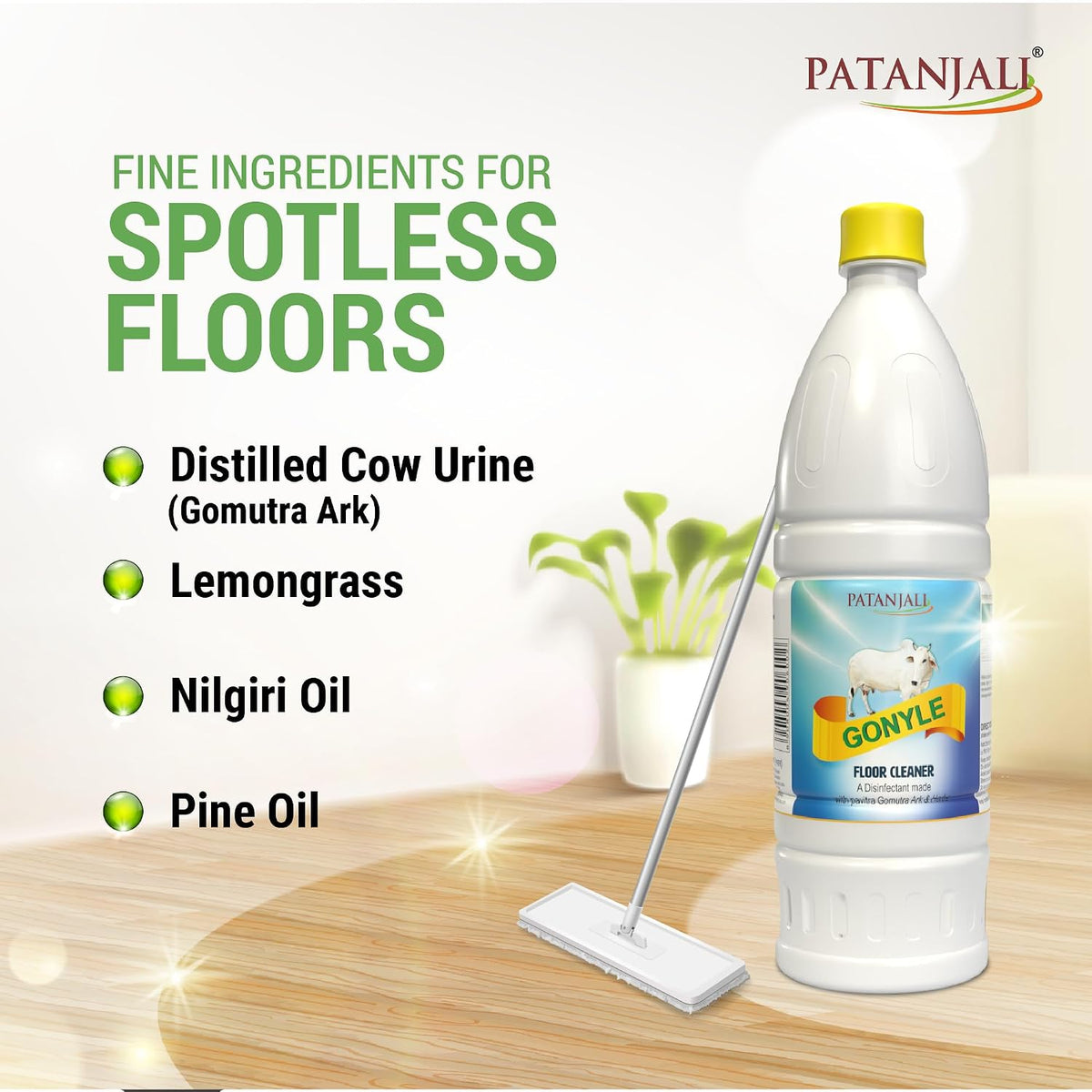 Patanjali Gonyle Floor Cleaner 1L 1 l (Pack of 1)