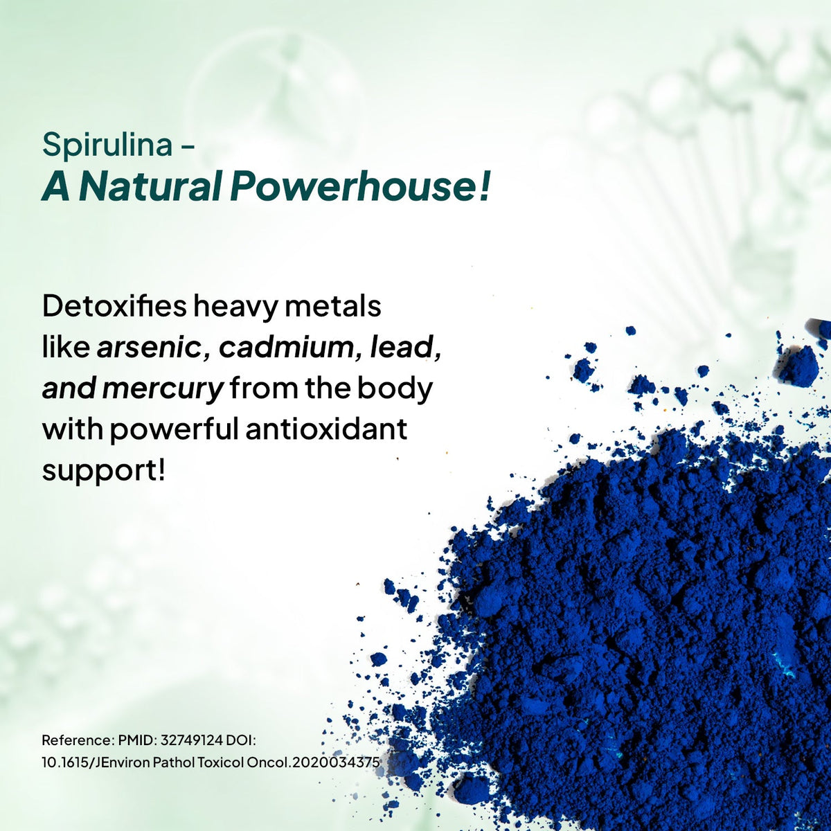 Miduty Blue Spirulina + PeakATP®