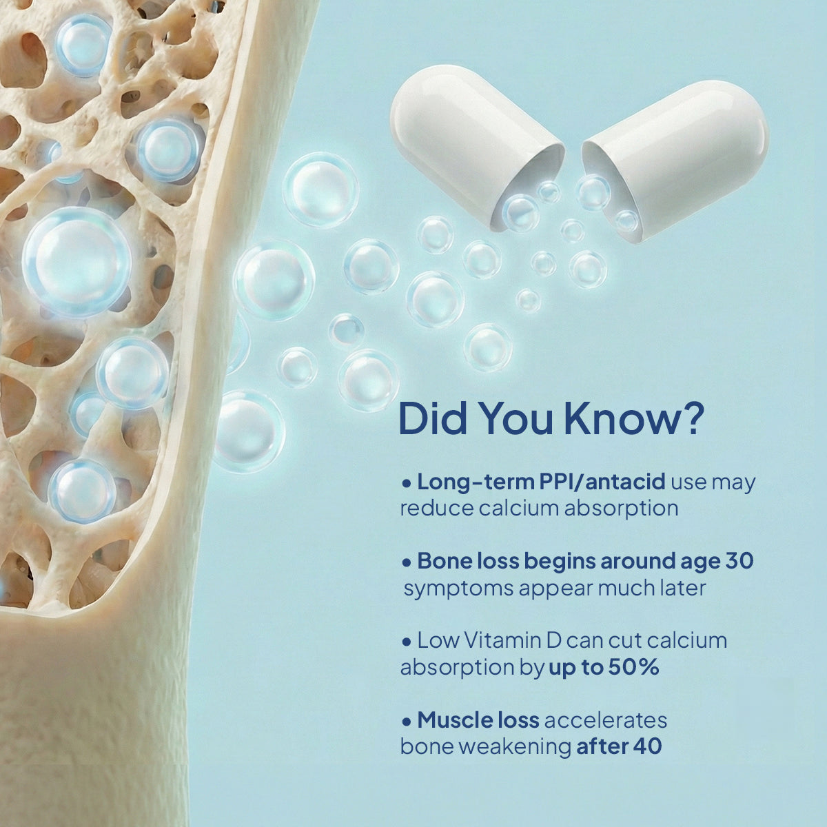 Miduty Bone Matrix
