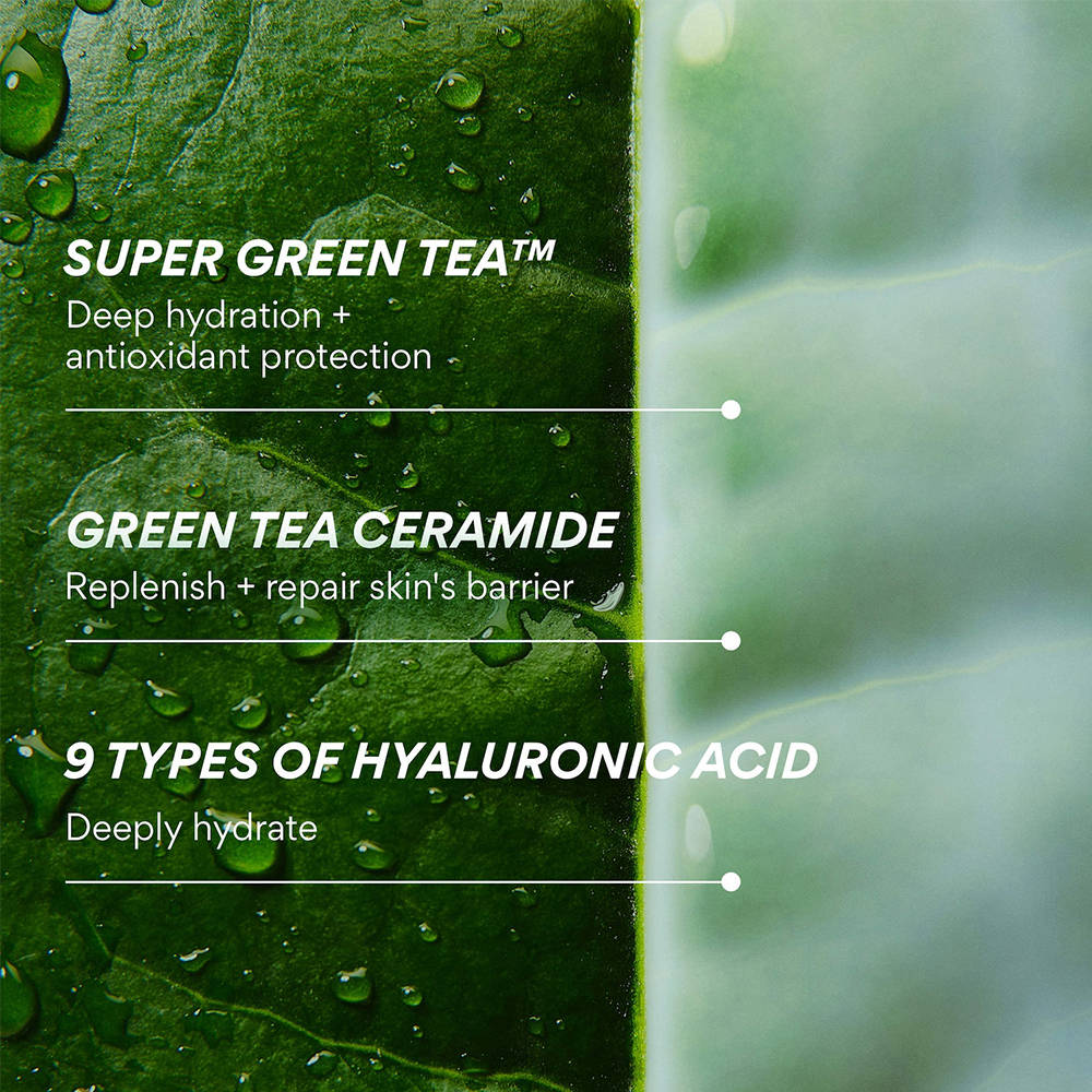 Innisfree Green Tea Ceramide Milky Toner & Barrier Essence