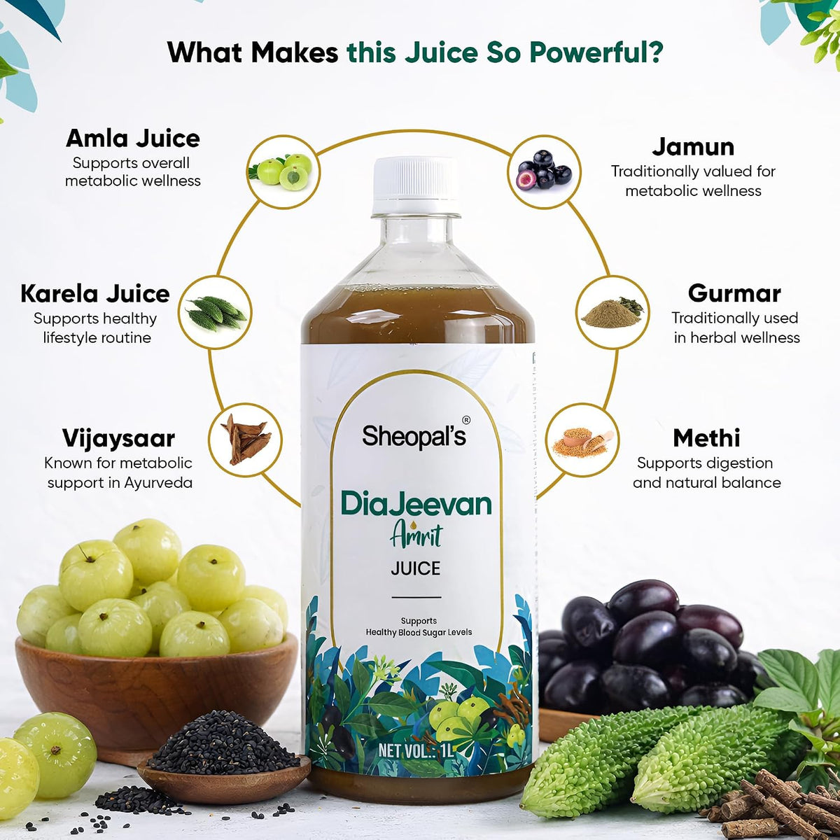 Sheopal's DiaJeevan Amrit Juice 1L | Ayurvedic Herbal Wellness Juice | Karela, Jamun, Amla & Gurmar + 7 Ayurvedic Herbs | Traditional Health Tonic – 1L pack of